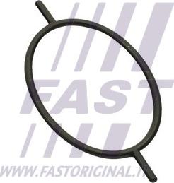 Fast FT49923 - Tarpiklis, vakuuminis siurblys xparts.lv