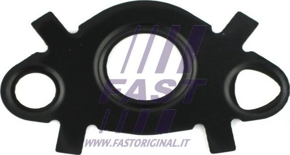 Fast FT49547 - Прокладка, масляный радиатор xparts.lv