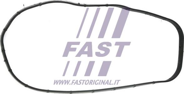 Fast FT49065 - Gasket, timing case xparts.lv