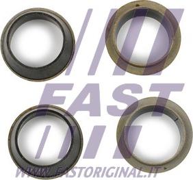 Fast FT49843 - Seal Kit, injector nozzle xparts.lv