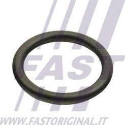 Fast FT48940 - Комплект прокладок, масляный радиатор xparts.lv