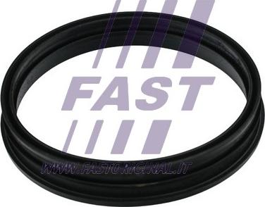 Fast FT48505 - Blīve, Degvielas daudzuma devējs xparts.lv