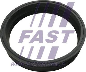 Fast FT48501 - Прокладка, датчик уровня топлива xparts.lv
