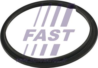 Fast FT48502 - Tarpiklis, degalų daviklio blokas xparts.lv