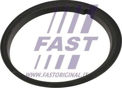 Fast FT48502 - Прокладка, датчик уровня топлива xparts.lv