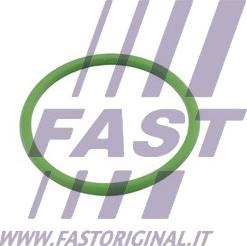 Fast FT48803 - Blīve, Turbīnas ieplūde (Kompresors) xparts.lv