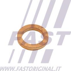 Fast FT48802 - Blīve, Turbīnas ieplūde (Kompresors) xparts.lv