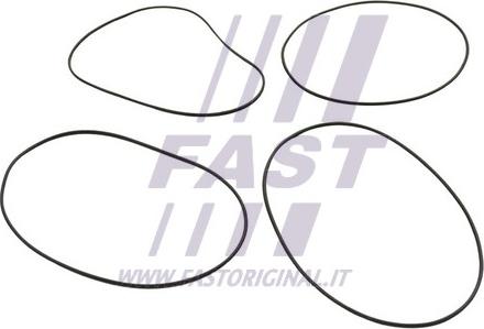 Fast FT50751 - Комплект прокладок, гильза цилиндра xparts.lv