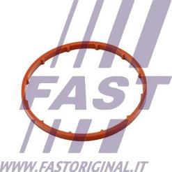 Fast FT50701 - Gasket, vacuum pump xparts.lv