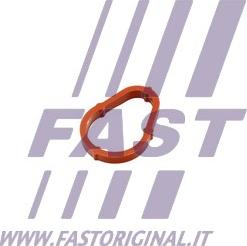 Fast FT50702 - Прокладка, вакуумный насос xparts.lv