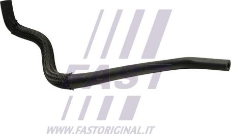 Fast FT61191 - Hose, heat exchange heating xparts.lv