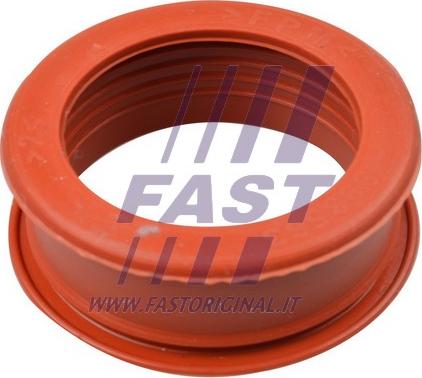 Fast FT61773 - Charger Intake Air Hose xparts.lv