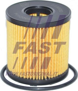 Fast FT38060 - Масляный фильтр xparts.lv