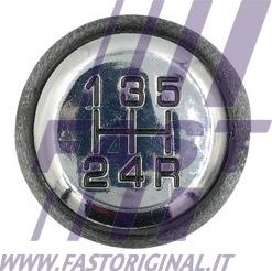 Fast FT73235 - Pārslēdzējsviras rokturis xparts.lv