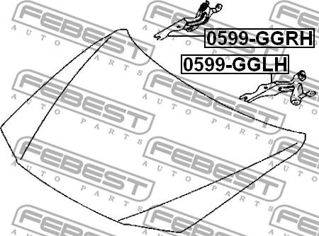 Febest 0599-GGLH - Šarnīrs, Motora pārsegs xparts.lv