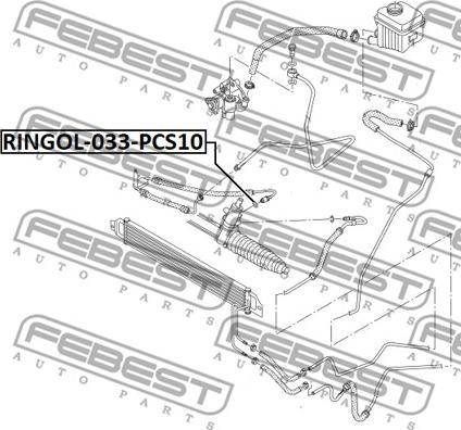 Febest RINGOL-033-PCS10 - Vārpstas blīvgredzens, Stūres pastiprinātāja sūknis xparts.lv