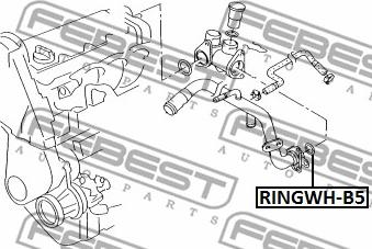 Febest RINGWH-B5 - Прокладка, фланец охлаждающей жидкости xparts.lv