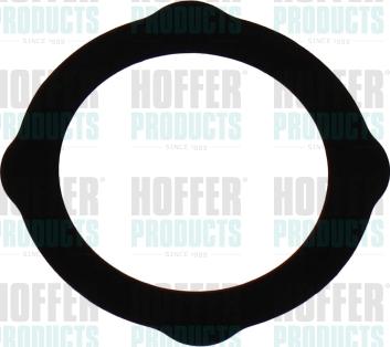 Hoffer 016264 - Seal, EGR valve xparts.lv