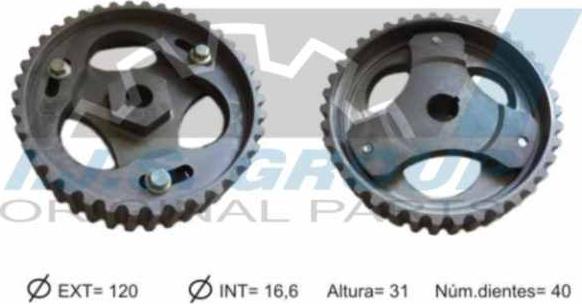 IJS GROUP 18-1006 - Gear, camshaft xparts.lv