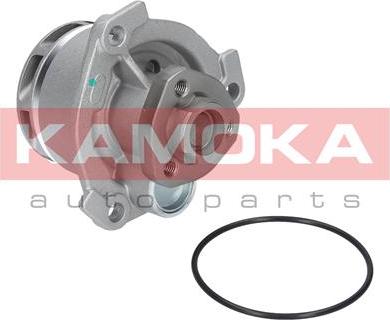 Kamoka T0234 - Water Pump xparts.lv