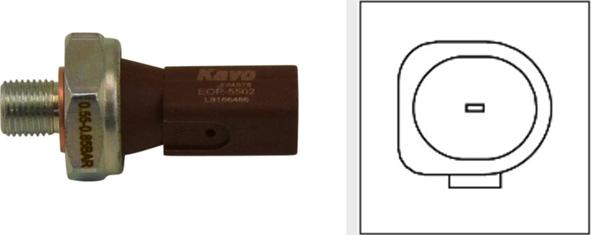 Kavo Parts EOP-5502 - Датчик, давление масла xparts.lv