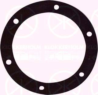 Klokkerholm 50990097 - Прокладка, датчик уровня топлива xparts.lv
