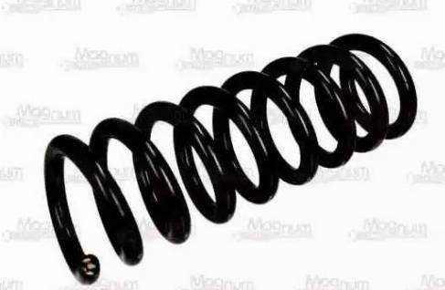 Magnum Technology SM066 - Coil Spring xparts.lv