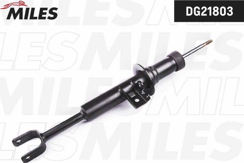 Miles DG21803 - Shock Absorber xparts.lv