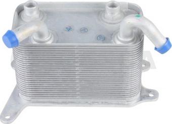 OSSCA 18776 - Eļļas radiators, Motoreļļa xparts.lv
