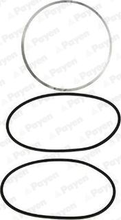 Payen HL5077 - O-Ring Set, cylinder sleeve xparts.lv