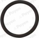 Payen LA5120 - Seal Ring, oil drain plug xparts.lv