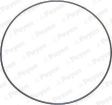 Payen LA5237 - O-Ring, cylinder sleeve xparts.lv