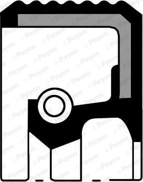 Payen NA5205 - Vārpstas blīvgredzens, Diferenciālis xparts.lv