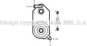 Prasco VN3110 - Eļļas radiators, Automātiskā pārnesumkārba xparts.lv