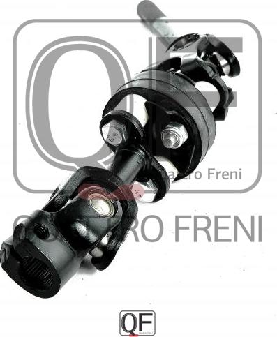 Quattro Freni QF01E00009 - Steering Spindle xparts.lv