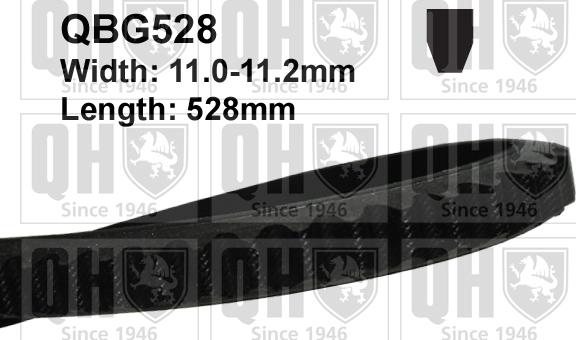 Quinton Hazell QBG528 - V-Belt xparts.lv