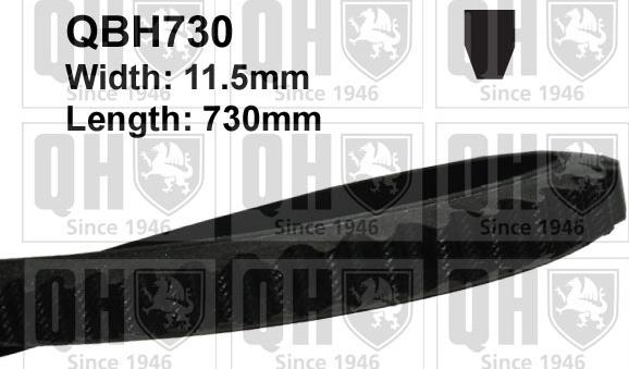 Quinton Hazell QBH730 - Клиновой ремень, поперечные рёбра xparts.lv