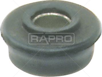 Rapro R58091 - Bush of Control / Trailing Arm xparts.lv