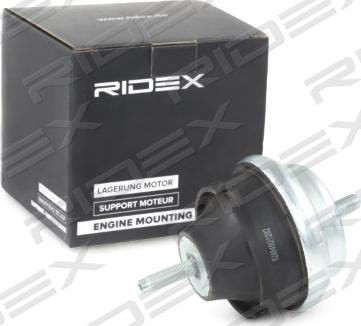 RIDEX 247E0099 - Piekare, Dzinējs xparts.lv