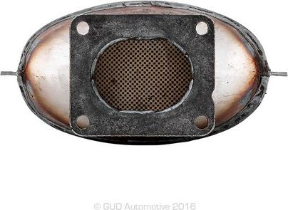 RYCO RPF262 - Soot / Particulate Filter, exhaust system xparts.lv