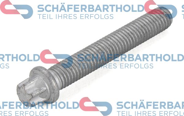 Schferbarthold 100 02 150 01 11 - Центрирующий болт, ременный шкив - коленчатый вал xparts.lv