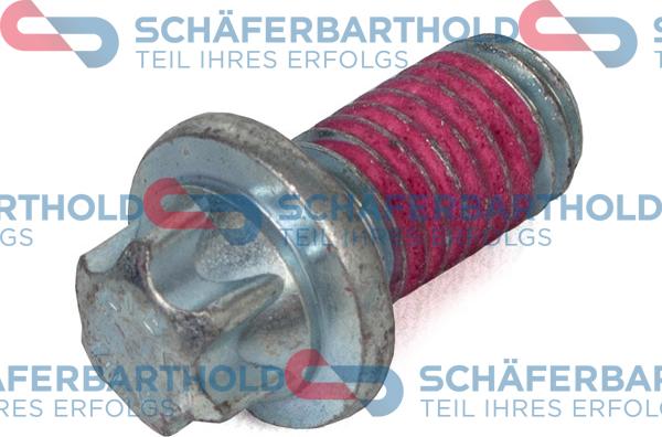 Schferbarthold 100 16 300 01 11 - Болт, нажимной диск xparts.lv