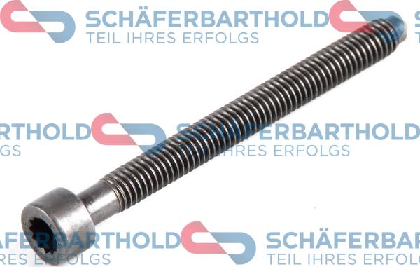 Schferbarthold 100 18 299 01 11 - Adjustment Screw, injector pump xparts.lv