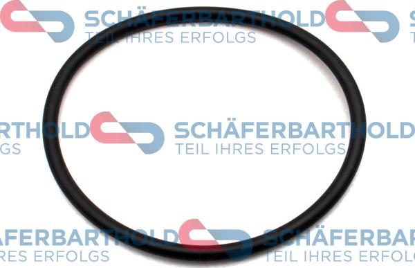 Schferbarthold 395 18 012 01 22 - Seal Ring, oil screen xparts.lv