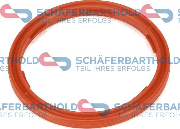 Schferbarthold 313 02 369 01 22 - Seal Ring, engine oil level sensor xparts.lv