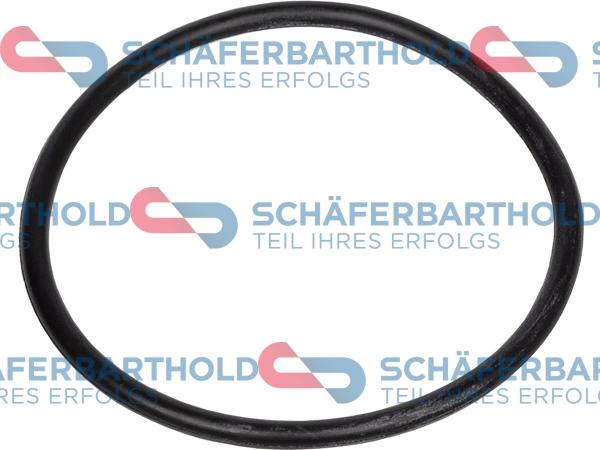 Schferbarthold 313 18 103 01 11 - Seal Ring, oil screen xparts.lv