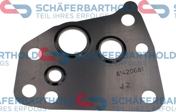 Schferbarthold 313 12 049 01 22 - Gasket, charger xparts.lv