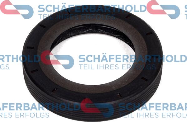Schferbarthold 313 27 403 01 11 - Shaft Seal, differential xparts.lv