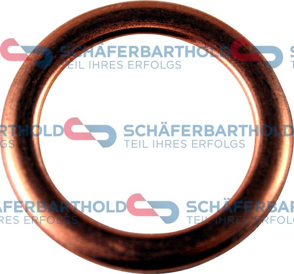 Schferbarthold 313 27 061 01 11 - Уплотнительное кольцо, резьбовая пробка маслосливного отверстия xparts.lv