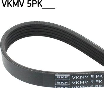 SKF VKMV 5PK1546 - Ķīļrievu siksna xparts.lv